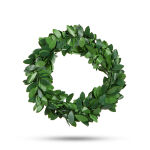 https://velizo.it/termekkategoria/szepsegapolas-egeszseg/