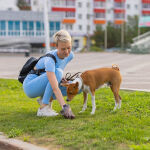 https://velizo.it/termekkategoria/szepsegapolas-egeszseg/