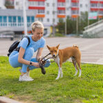 https://velizo.it/termekkategoria/szepsegapolas-egeszseg/