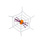 https://velizo.it/termekkategoria/szepsegapolas-egeszseg/