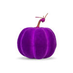 https://velizo.it/termekkategoria/szepsegapolas-egeszseg/