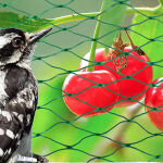 https://velizo.it/termekkategoria/szepsegapolas-egeszseg/