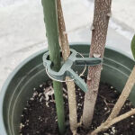 https://velizo.it/termekkategoria/szepsegapolas-egeszseg/