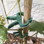 https://velizo.it/termekkategoria/szepsegapolas-egeszseg/