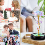 https://velizo.it/termekkategoria/szepsegapolas-egeszseg/