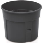 https://velizo.it/termekkategoria/szepsegapolas-egeszseg/
