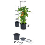 https://velizo.it/termekkategoria/szepsegapolas-egeszseg/
