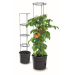 https://velizo.it/termekkategoria/szepsegapolas-egeszseg/