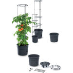 https://velizo.it/termekkategoria/szepsegapolas-egeszseg/