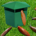 https://velizo.it/termekkategoria/szepsegapolas-egeszseg/