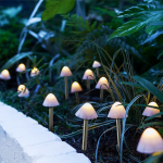 https://velizo.it/termekkategoria/szepsegapolas-egeszseg/